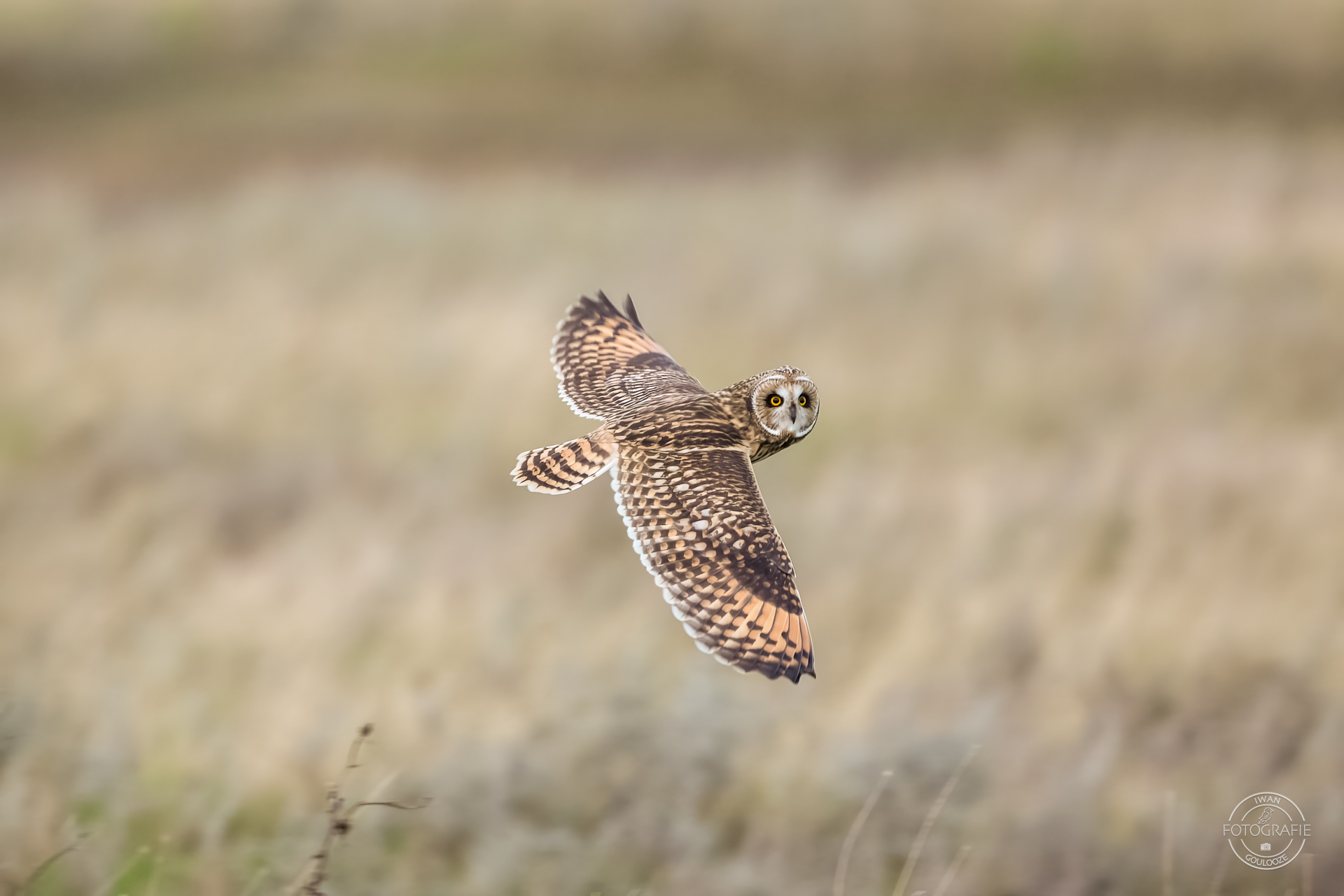 16 oktober 2022 172810 1R2A5054 bewerkt